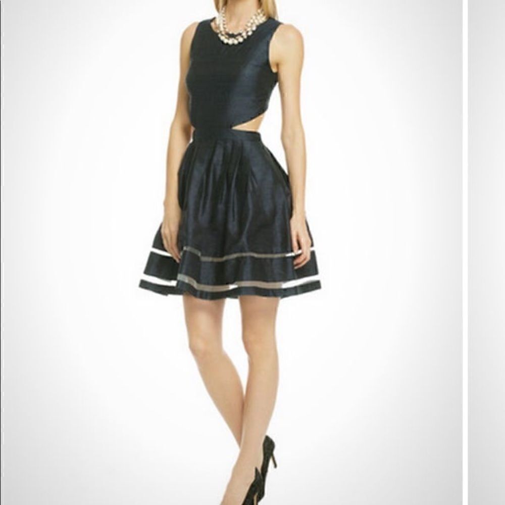 Allison Paris 4 cutout dress sheer dtl full skirt